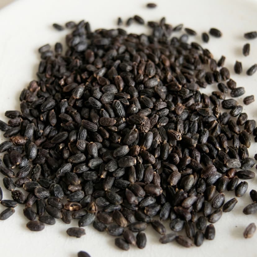 Basil Seeds