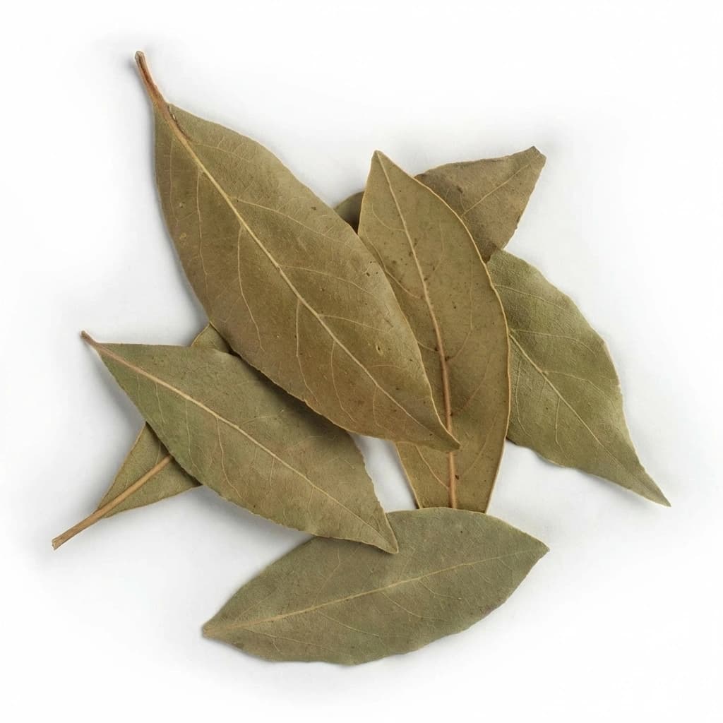 Bay Leaf