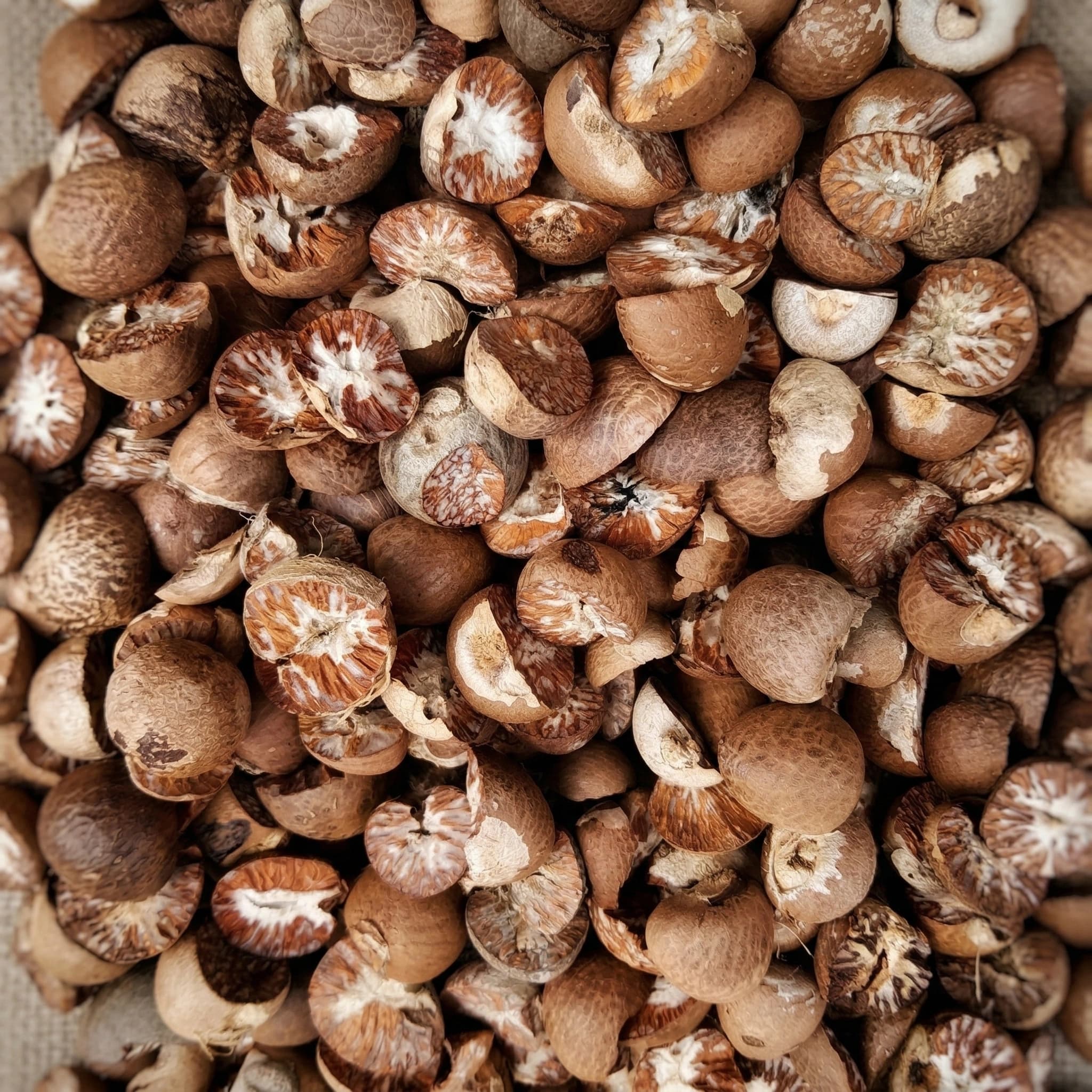 Betel Nut 70% good Split and whole