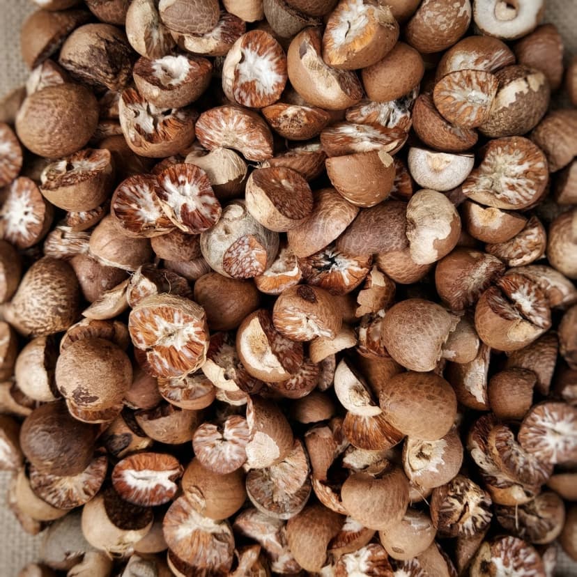 Betel Nut 70% good Split and whole