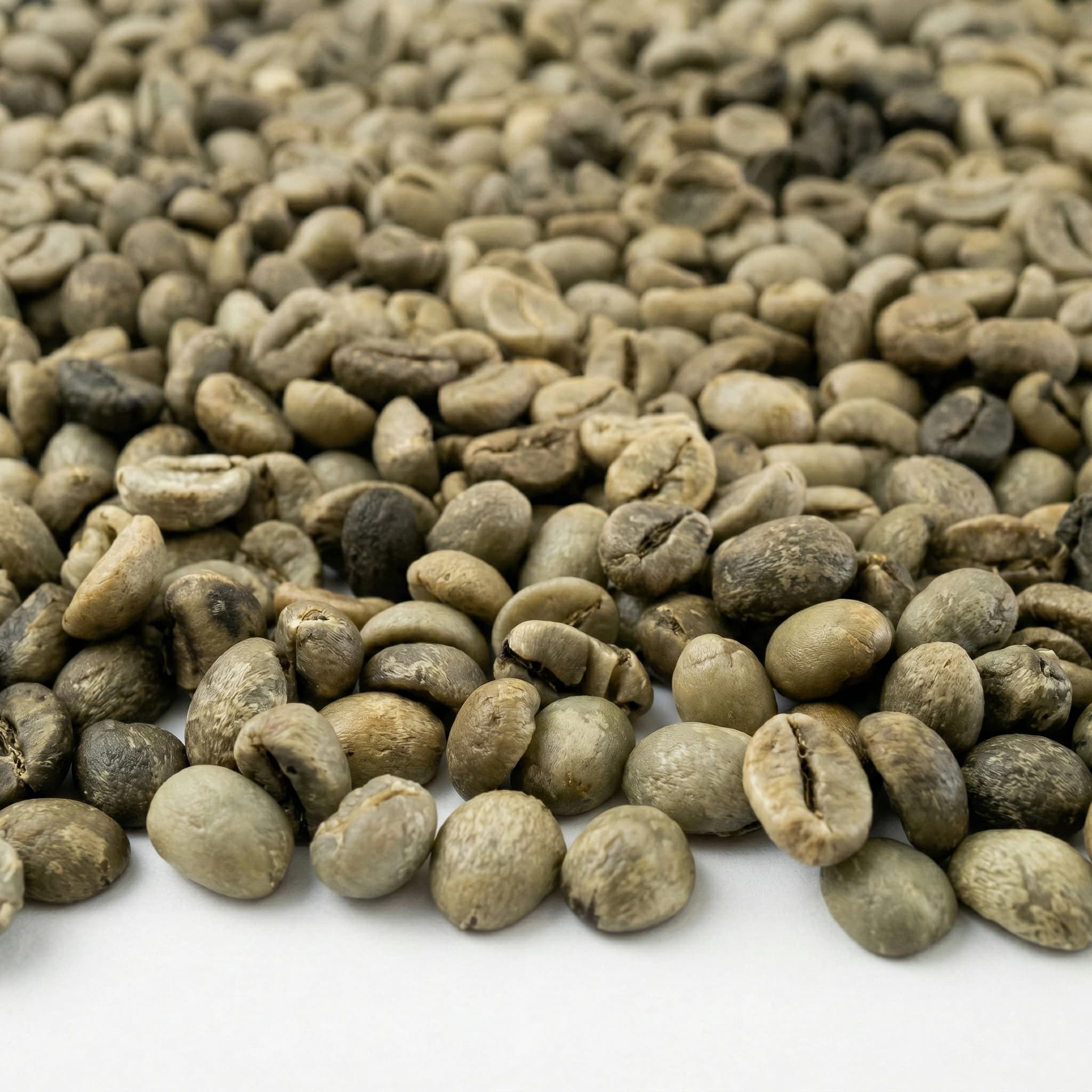 Coffee Bean Robusta grade 3