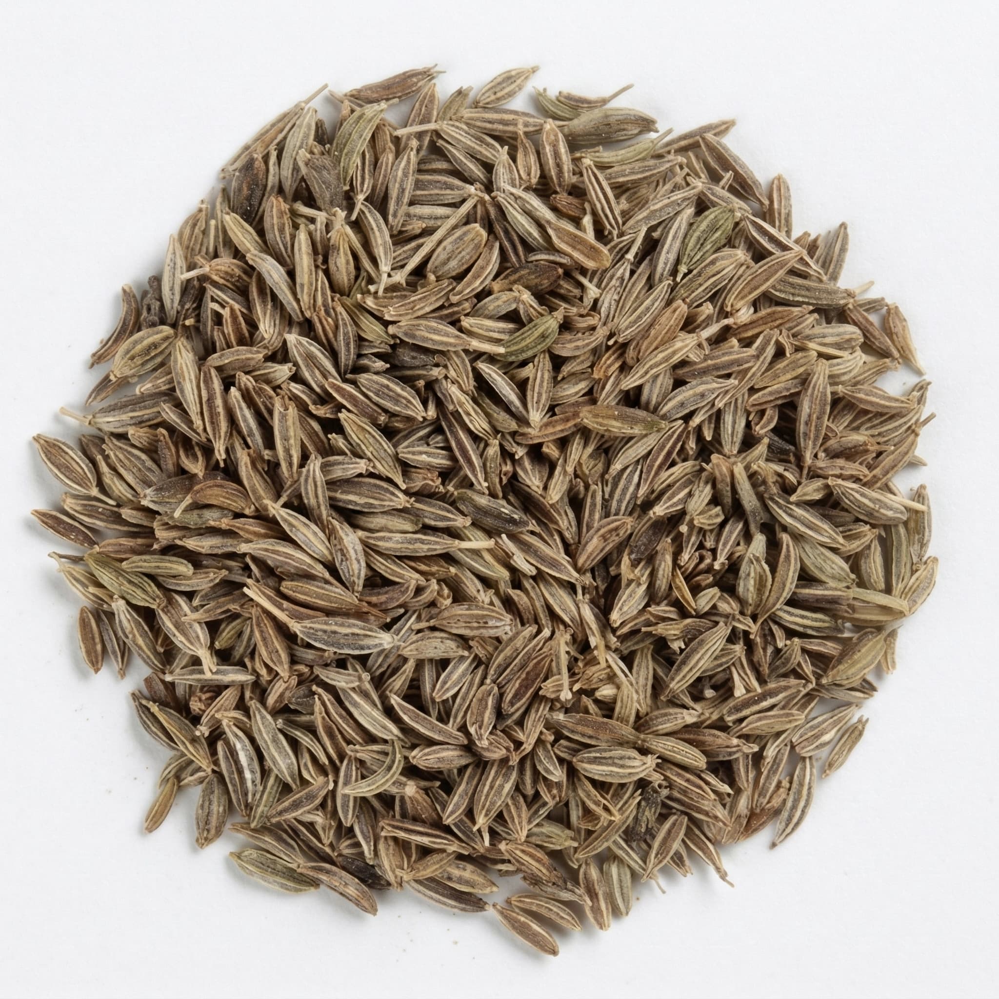 Cumin seeds