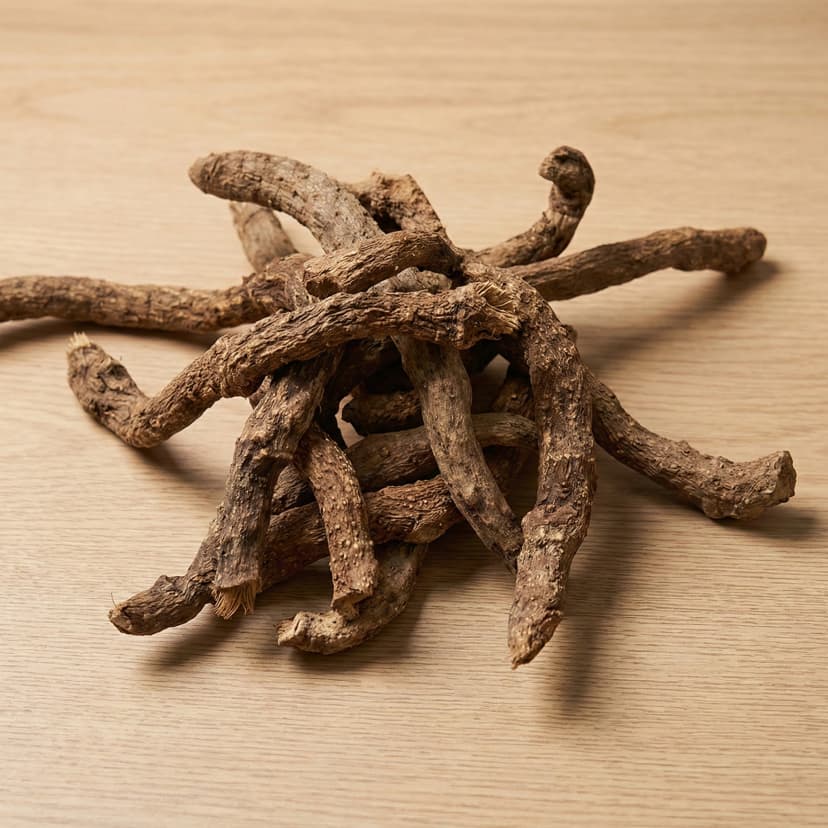 Homalomena / Sugandhi Root