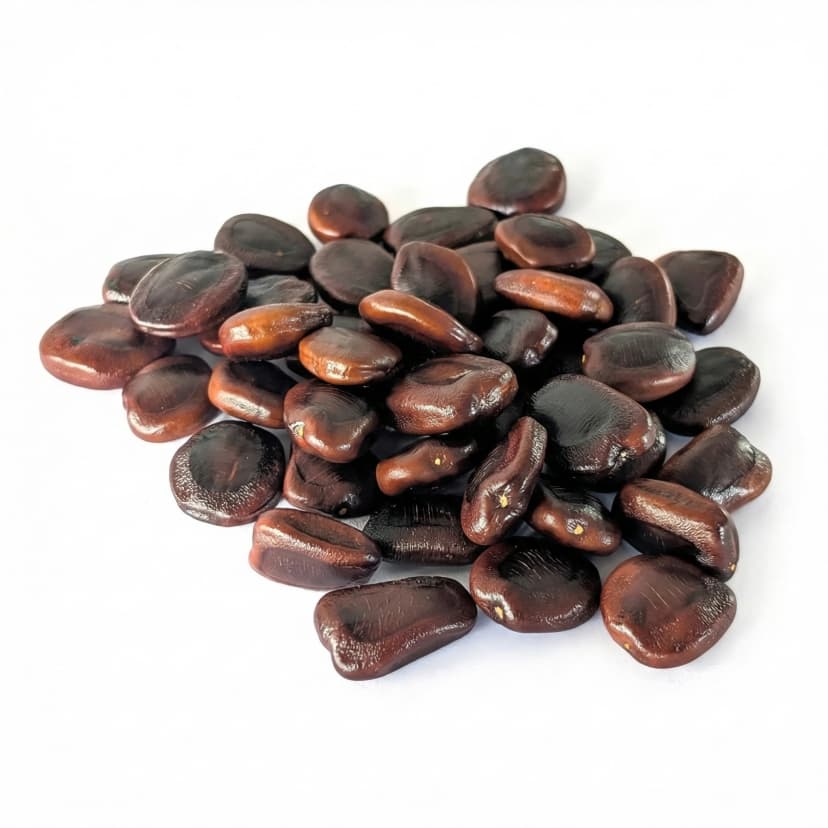 Tamarind Seeds