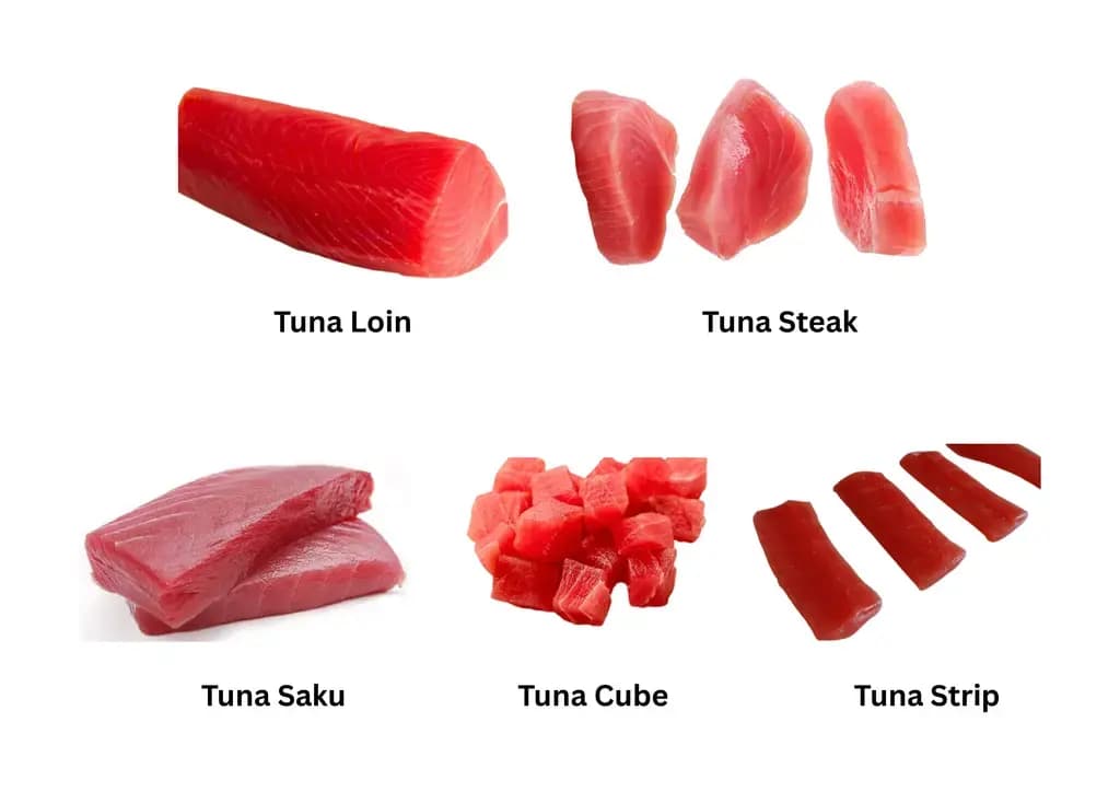 Canned Tuna